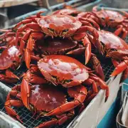 目前市场上的大闸蟹养殖方式有哪些?