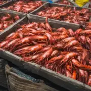在市场上是否存在对于南美虾的价格波动所做出的反应措施例如政府定价机制等?