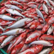 在2015年中国南方地区鲜活的鲤鱼价格与冷冻冰冻后的价格有何区别?