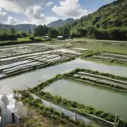 是否有一些专业的技术机构可以提供有关淡水鱼类养殖的培训课程和相关咨询服务呢?10有没有关于如何成功地将淡水水产养殖从商业角度转化为可持续发展的重要产业的经验案例可供参考?