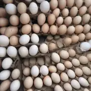 现在陕西省鸡蛋库存量较高较低吗?为什么呢?