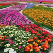 河北省内的花生产区都有哪些品种?