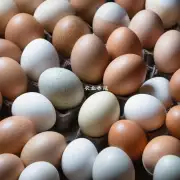 不同品种鸡蛋的大小和价格有什么影响吗?