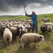 养羊人的健康状况是否受到环境因素的影响呢?