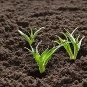 关于土壤肥料的问题 有无特殊要求吗?