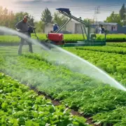 饲养过程中如何正确合理地施肥和灌溉?