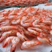如何评估虾饲料的质量和有效性?