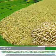 统计信息辽宁省玉米种植面积产量以及总库存量如何变化?