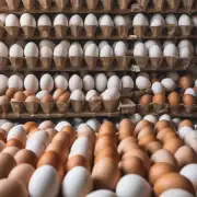 每100克鸡蛋的平均零售价是多少钱?