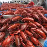 我想知道中国对进口龙虾有什么特殊要求吗?