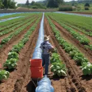 在种植过程中你有什么样的经验来优化植物的生长?例如通过调整土壤pH值施加肥料或改变灌溉方法来提高产量和品质?