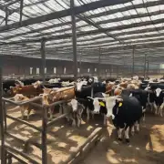 在湖南省株洲市醴陵县内的养牛农场是否为正规养殖企业?