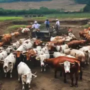 在湖南省株洲市醴陵县境内的养牛场是否合法经营?