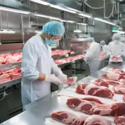 现在国内外市场上有哪些公司在开展肉类动物胚胎移植技术研究和应用?