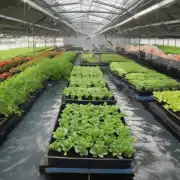 与其他园艺种植方法相比茶花扦插水培技术的优势和不足之处分别是什么?