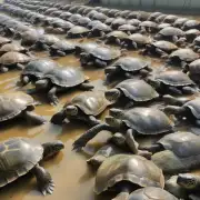 南宁市快富龟鳖养殖场的员工团队有多少人呢?