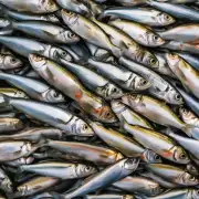 当使用含有较高营养含量的食物喂给草鱼时是否应该减少鱼类数量以避免过度摄食和体重增加过快的问题?