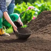 什么是有机肥料及其使用方法?