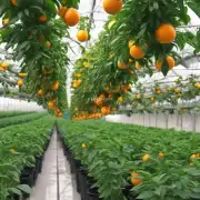 在室内种植桔梗时如何选择最适合的灌溉方法?
