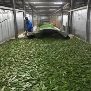 想要了解饲料鱼干江苏的生产情况吗?