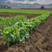 在农村地区种植灵芝时如何确定土地是否适合种植?