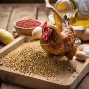 小鸡饲料中添加了哪些维生素和其他营养物质以改善鸡肉品质呢?