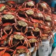 普陀水产市场里供应较多的梭子蟹目前多少钱一斤?