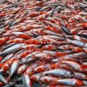 据我所知许多养鱼人使用鱼粉作为宠物饲养中的鱼类食品的主要原因之一是它们价格低廉然而是否认为这是不健康的选择呢?