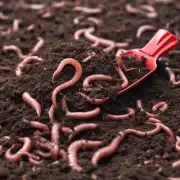 什么是蚯蚓粪肥料?