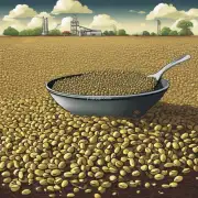 我想请你帮忙问下有关em菌发酵豆渣转化成甲烷产生效果如何一碗豆渣能生产出多少甲烷?