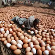 首先我想问一下最近一段时间内全国范围内的鸡蛋市场供应量是否会增加以支持蛋价上涨的趋势?其次我想了解一些地区或省份的禽类养殖情况和蛋种价格走势如何跟着我的问题吗?