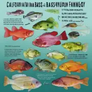 我想知道加州鲈鱼在室内水族箱养殖中所使用的饲料是什么?