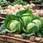 坛紫菜在市场上的价格趋势是怎样的?哪些因素会影响其价格变动呢?