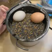 你能给我解释一下为什么辛集鸡蛋的价格会这样变动吗?