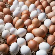 为什么有些地区鸡蛋的价格波动较大而其他地方相对较稳定?