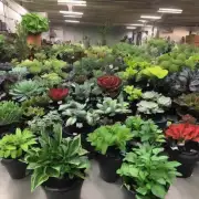 如果你不介意我向你咨询其他植物的价位你可以告诉我哪些植物价格相对较低吗?
