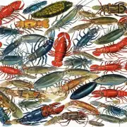 对于不同品种不同年龄阶段以及不同性别的龙虾它们对饵料所需的营养比例有何不同?