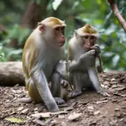 这里有第三道题目养殖知识了猴之前需要了解哪些关于它们的行为和生活环境?