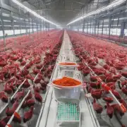 在中华鲟的饲养过程中如何控制温度?