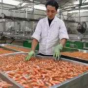 虾爬子养殖过程中需要注意哪些方面的食物供应和饲料配方设计?