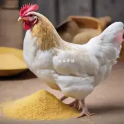 饲料鸡肉粉的包装材料有哪些选择?