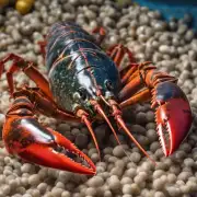 饲料中的蛋白质碳水化合物和其他营养成分如何被利用来满足龙虾生长和繁殖的需求?