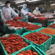 在2023年的春节期间在中国南方某省会城市购买一斤青龙虾的价格是多少?