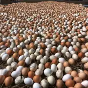 问到今天鸡蛋的价格变化对整个鸡蛋行业会产生什么影响?