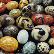 每一年大王蛇种蛋的价格波动多少?