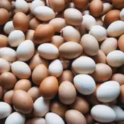 你能不能告诉我辛集鸡蛋的价格变化是由哪些因素决定的?