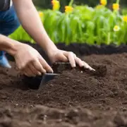 如何选择适合种植春花菜的土壤类型以及其特性?