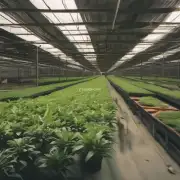 在茶花扦插水培技术中有没有其他的植物可以应用这种方法来提高生产效率和品质的呢?