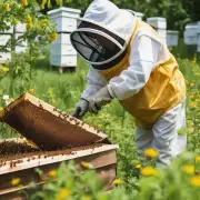 养蜂在城市中是否可以进行养殖?养蜂对环境有何影响?