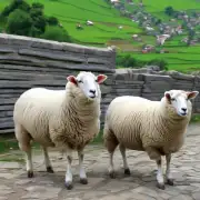四川省广汉市岳池县有一个养羊的地方吗?